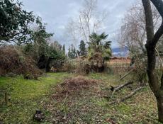 Продам участок цитрусовый савхоз 