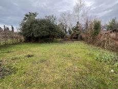 Продам участок цитрусовый савхоз 