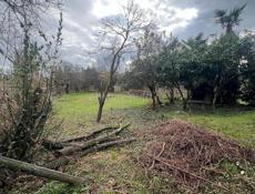 Продам участок цитрусовый савхоз 