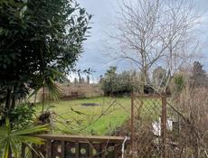 Продам участок цитрусовый савхоз 