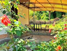 Дом жилой с садом 25 соток и море напротив!