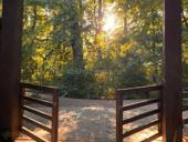 ВОЗЬМУ В АРЕНДУ  на сезон