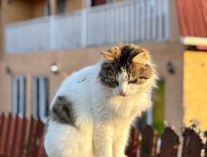 Продается дом 