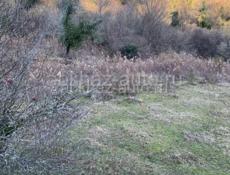 Продаётся по нужде !