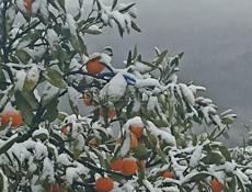 Срочно ❗❗❗