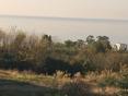 В НОВОМ АФОНЕ продаётся участок 15 соток с видом на море 🌊 