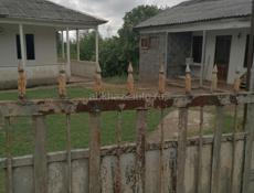 Продаётся дои