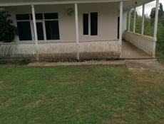 Продаётся дои