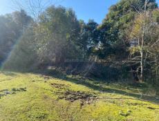 Участок 50 соток земли 