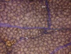 Картошка оптом 