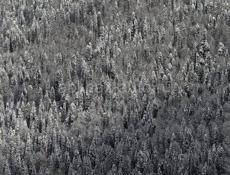 Недострой-дом, участок 47 соток