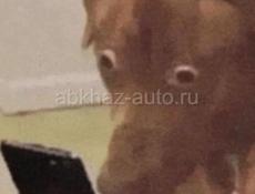 Видеокарта