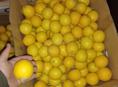 Лимоны