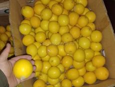 Лимоны