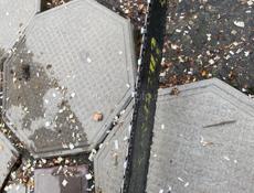 Дружба как новая 15.000₽ торг уместен 