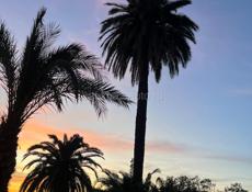 Присмотрю за вашим ребёнком на своей территории 