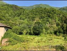 Продажа Рица!