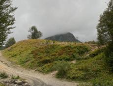 Продается мед каштан-липа. 