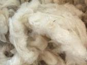 Овечья шерсть натуральная мытая - 9,5 кг 