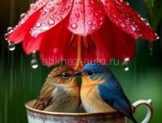 обрезка деревьев