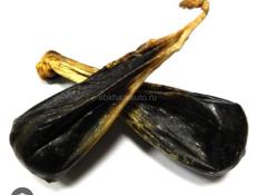 Продаю медвежий желчь 