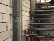 Помещение пр. Мира. Где часы