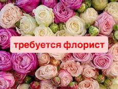 Требуется флорист 