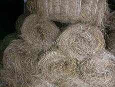 Сено люцерна и равноправие