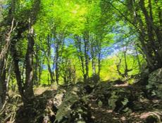 Улица Черкесская 