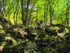 Улица Черкесская 