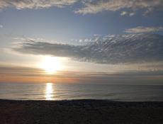 Туберкулёз