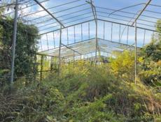 Теплица сборная, 50/30