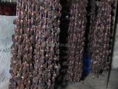 Хурма 450  р кг