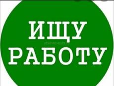 Ищу работу
