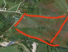 Участок в Дранде,СРОЧНО 3,5 ГЕКТАРА 