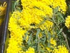 Заказ принимаю на мимозу до 4марта любои объём, готовый в ящик будет лежать чисти 6 килограмм, цена 1700 руб 