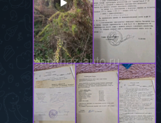 30 сотк/ срочная продажа 