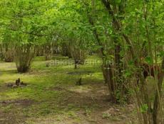 Продаётся участок в Гали 