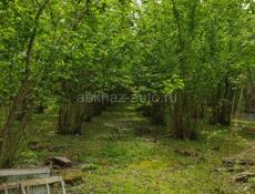 Продаётся участок в Гали 