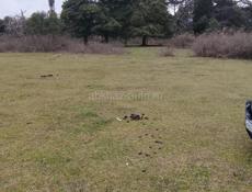 Участок 10 соток