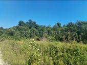 Участок цандрипш ЗАРЯ КАВКАЗА 