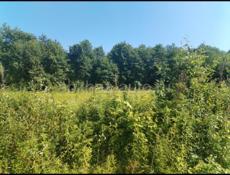 Участок цандрипш ЗАРЯ КАВКАЗА 