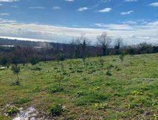 Участок нижняя Эшера