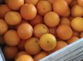 Мелкий апельсин 300