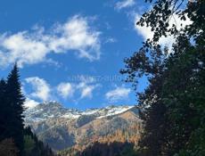 КУПЛЮ КВАРТИРУ!!!