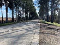 Очень срочно 