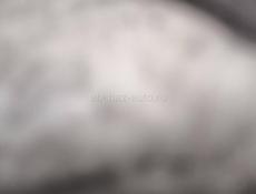 Очень срочно 4х комнатная