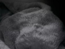 Дом в рассрочку