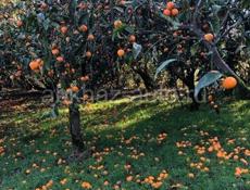 Продается дом