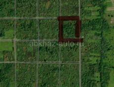 Село Адзюбжа пол гектара 